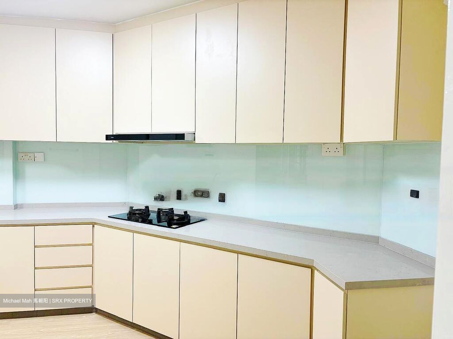Laguna Park (D15), Apartment #599655621